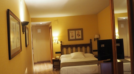Single room ELE Puente Romano Hotel Salamanca