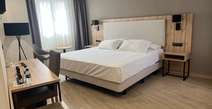 Superior room with terrace ELE Acueducto Hotel Segovia