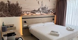 Premium double room ELE Acueducto Hotel Segovia
